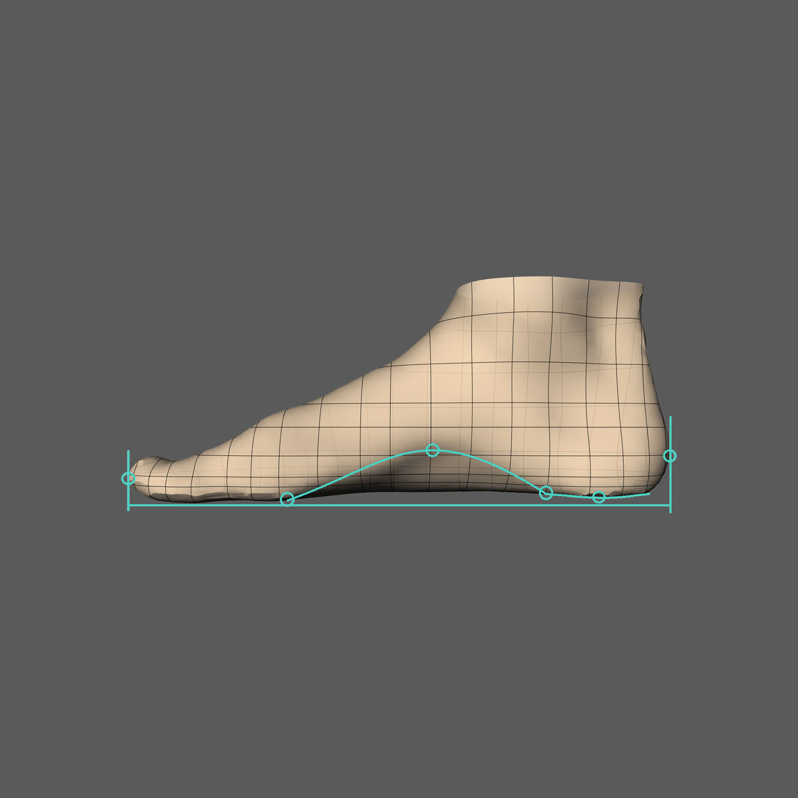 Arch profile mapped along the foot